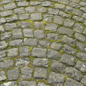 Oprit, Terras en Tuinmeubels